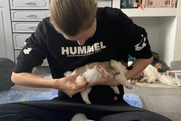 20 dage gammel (Coton de Tulear)